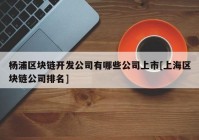 杨浦区块链开发公司有哪些公司上市[上海区块链公司排名]